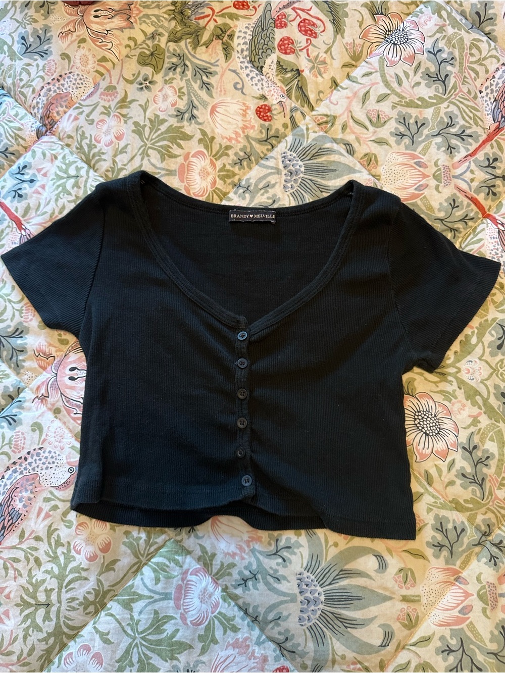 Brandy Melville Black Ribbed Button-Front Crop Top